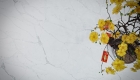 VICOSTONE BQ6800